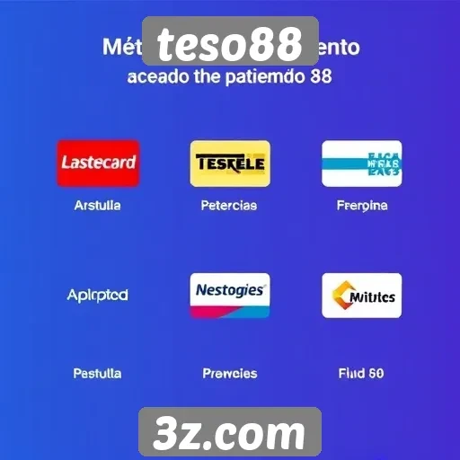 Métodos de pagamento aceitos no teso88