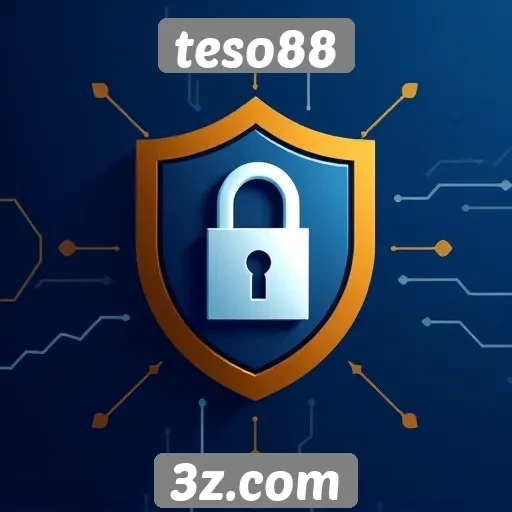 Medidas de segurança implementadas pelo teso88