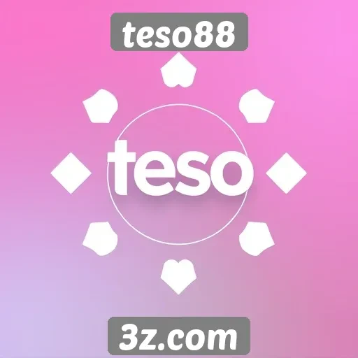 Principais recursos e funcionalidades do teso88